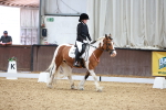 SBM_006301