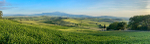 Tuscany iPhone - 66