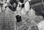 Jewish Cemetery (Prague 2009) #12