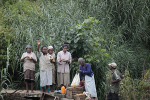Tea plantation workers, Ella Sri Lanka 67