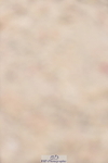 231013A-115826-01535