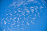 ACP_4742-1