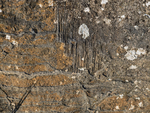 Greenleighton VI Mineralised