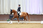 SBM_002729