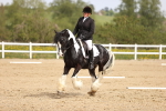 SBM_007511