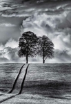 TWINS IN RAIN STORM