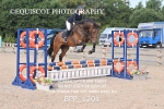 BPP_1201