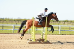 Class 1 - Clear Round portfolio