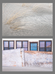 HE/SHE #41, 2015