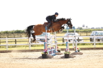 SBM_004490