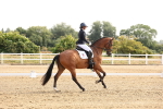 SBM_005208