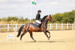 SBM_006637