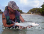 Bonefish Photo - Power House.