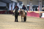 SBM_12983