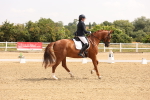 SBM_005428