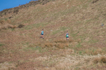 Black Combe-532