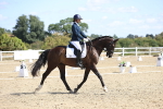 SBM_013986