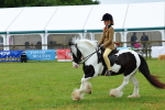 SBM_01051