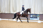 SBM_000523