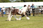 SBM_08780