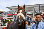 250823-Race 1-Marhaba The Champ-0211