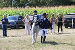 WJ6_8015