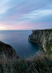 Bempton Cliffs 3