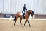 SBM_001335