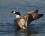 20110319-IMG_2450