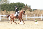 SBM_019330