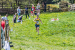 The Finish-11