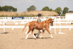 SBM_04668