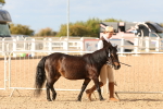 SBM_18334