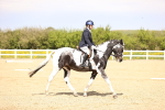 SBM_007980