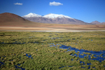 Vega de Putana wetland & Tocorpuri beyond, Chile