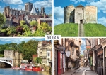 Ref 194 York