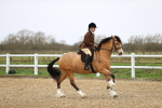 SBM_007526
