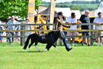 SBM_03420