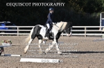 BPP_8608