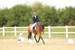 SBM_017893