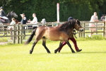 SBM_00643