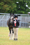 Class 4 Prettiest Mare in Hand portfolio