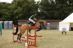 Harriet's Group portfolio
