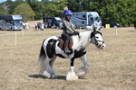 WJ6_9166