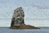 Gull Island