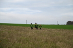 WJ7_9754