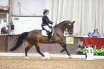 SBM_019768