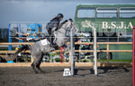 Junior Showjumping_10-11-2019-9