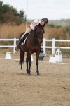 SBM_009078