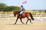 SBM_009567